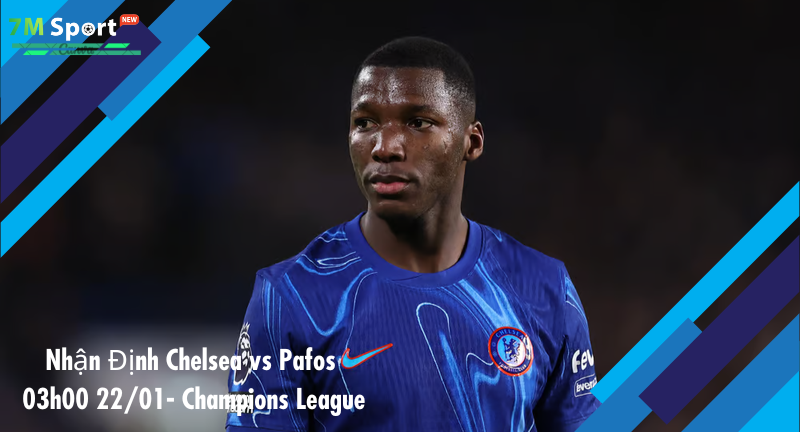 Đội hình dự kiến trước trận Chelsea vs Pafos Đội hình dự kiến trước trận Chelsea vs Pafos