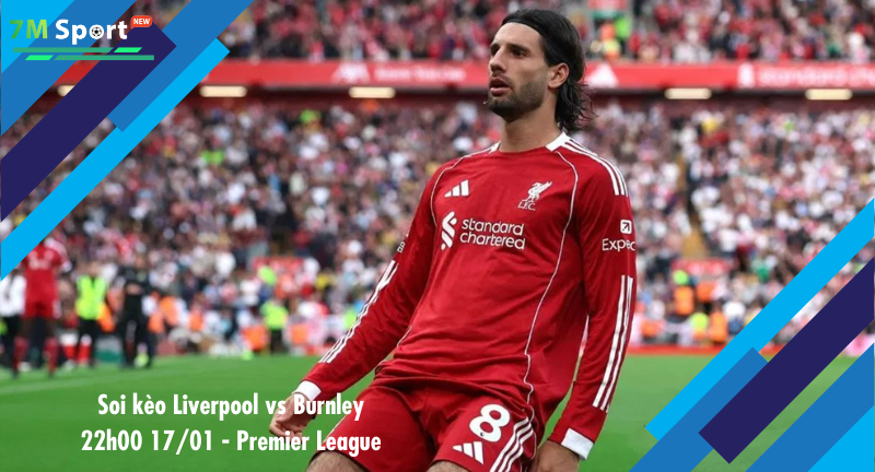 Đội hình dự kiến trước trận Liverpool vs Burnley Đội hình dự kiến trước trận Liverpool vs Burnley