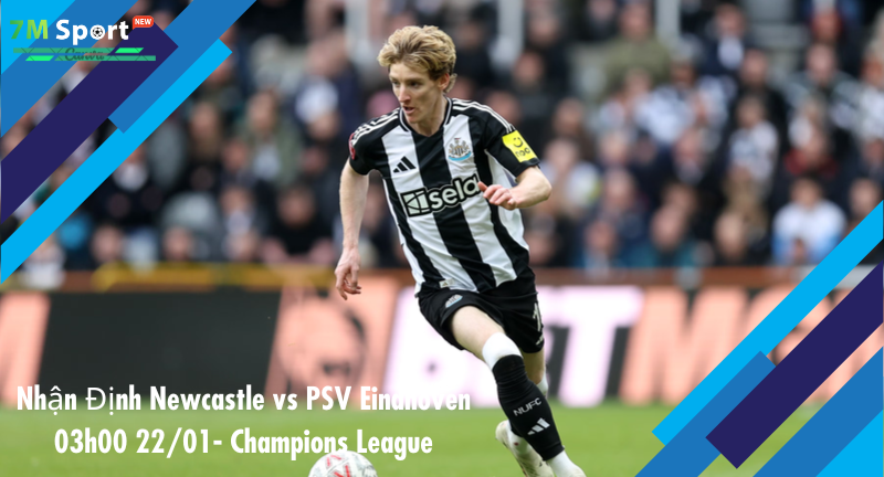 Đội hình dự kiến trước trận Newcastle vs PSV Eindhoven Đội hình dự kiến trước trận Newcastle vs PSV Eindhoven