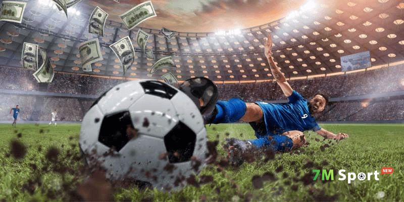 Tổng hợp những câu hỏi phổ biến về hệ thống 7M 7MCN 7M CN Tổng hợp những câu hỏi phổ biến về hệ thống 7M 7MCN 7M CN